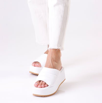 Chunky Mule | Curved - 6 colors